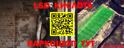 альфа пвп Новодвинск