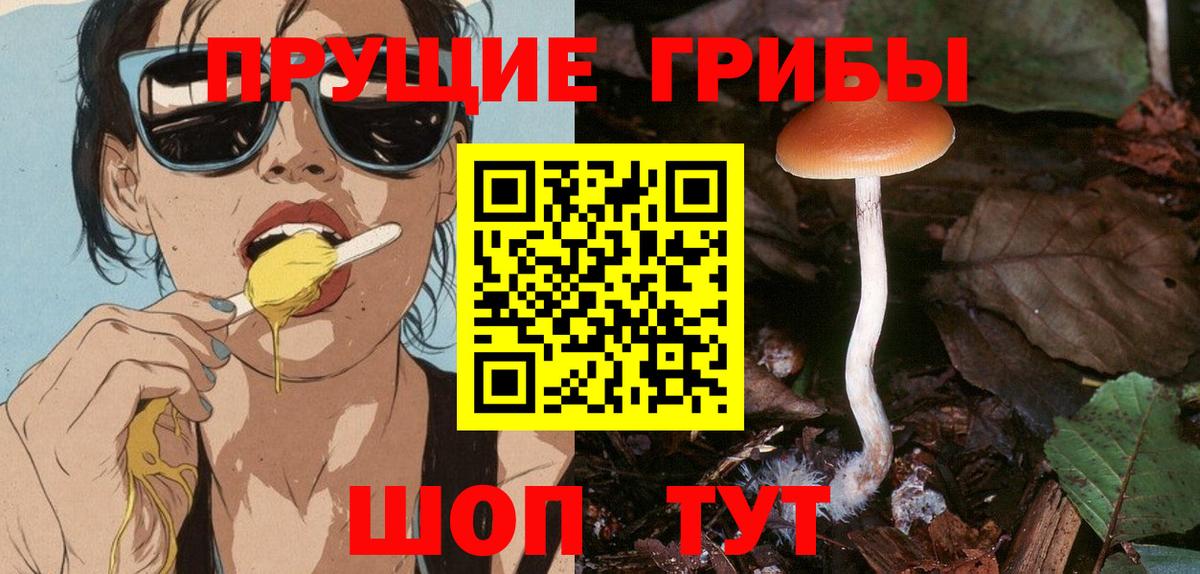 магазин продажи   Псилоцибиновые грибы Psilocybine cubensis  Вход с VPN  Саратов 