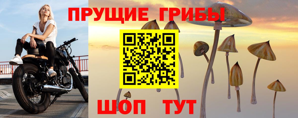 Галлюциногенные грибы ЛСД Саратов